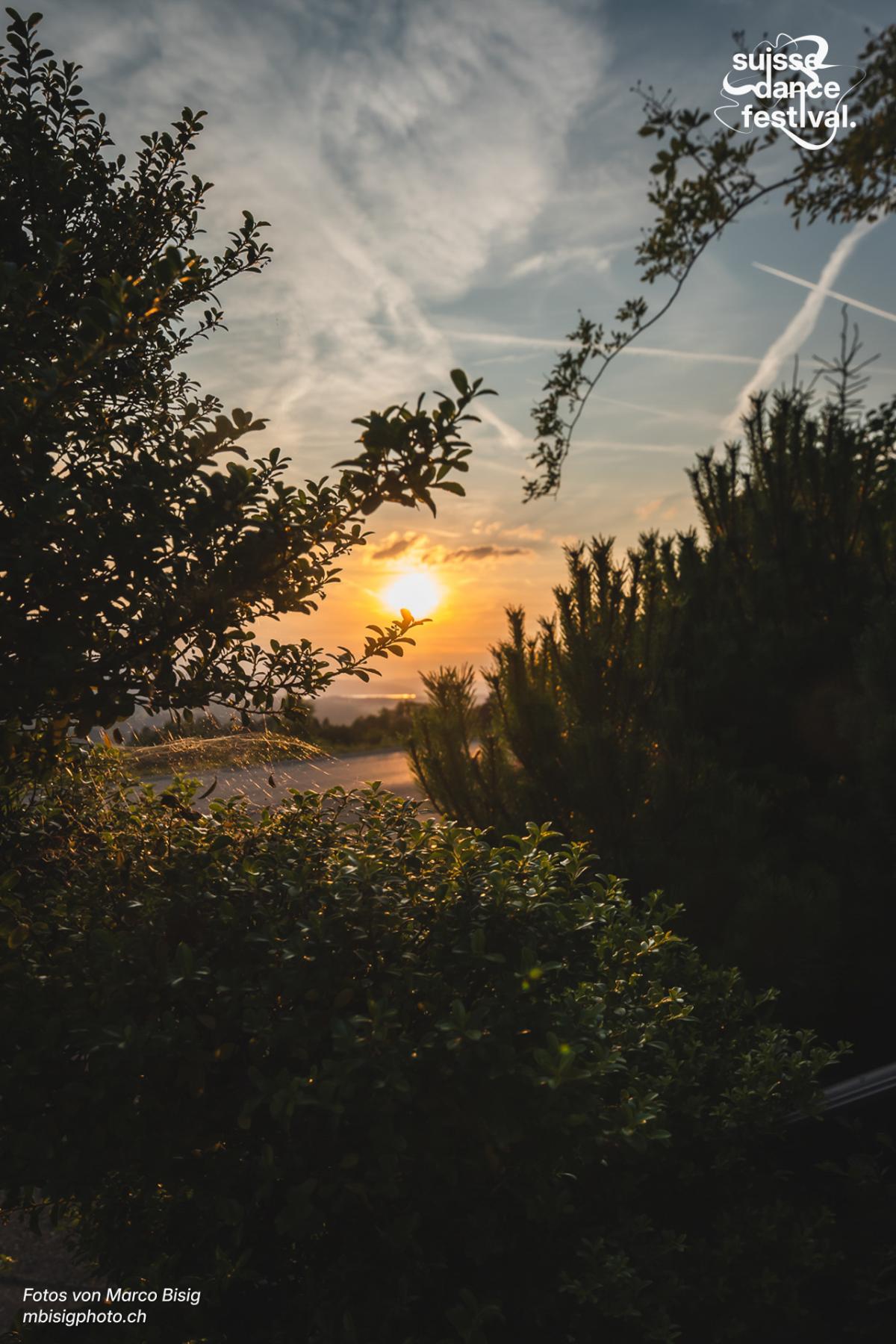 Suisse Dance Festival | 12.+13. Juni 2026 | Hasenstrick, Dürnten 